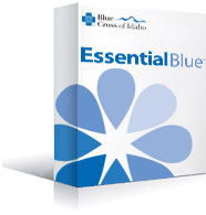 Essential Blue Basic - Cover Art